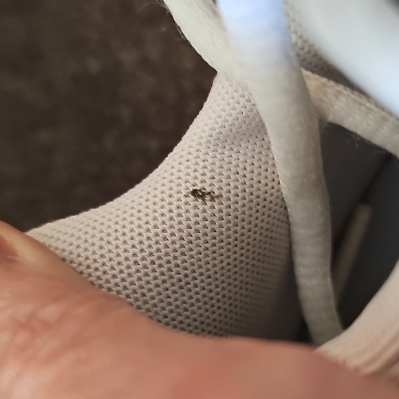 Nike Air Women's Running Shoes 🩵🩵🩵 - Picture 5 of 9